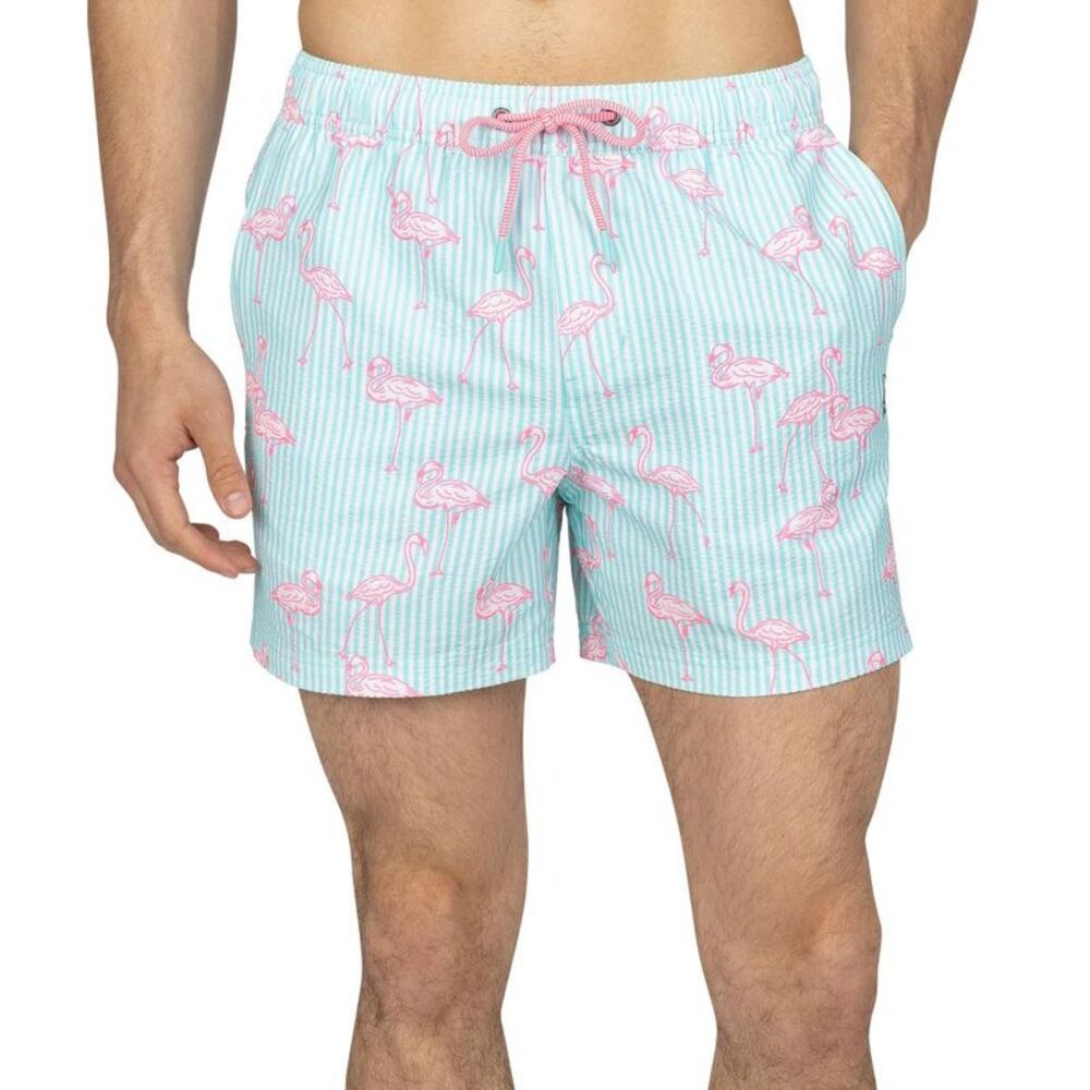 Men's Pink Fellows Swim Shorts Pink and Blue Seersucker XXL